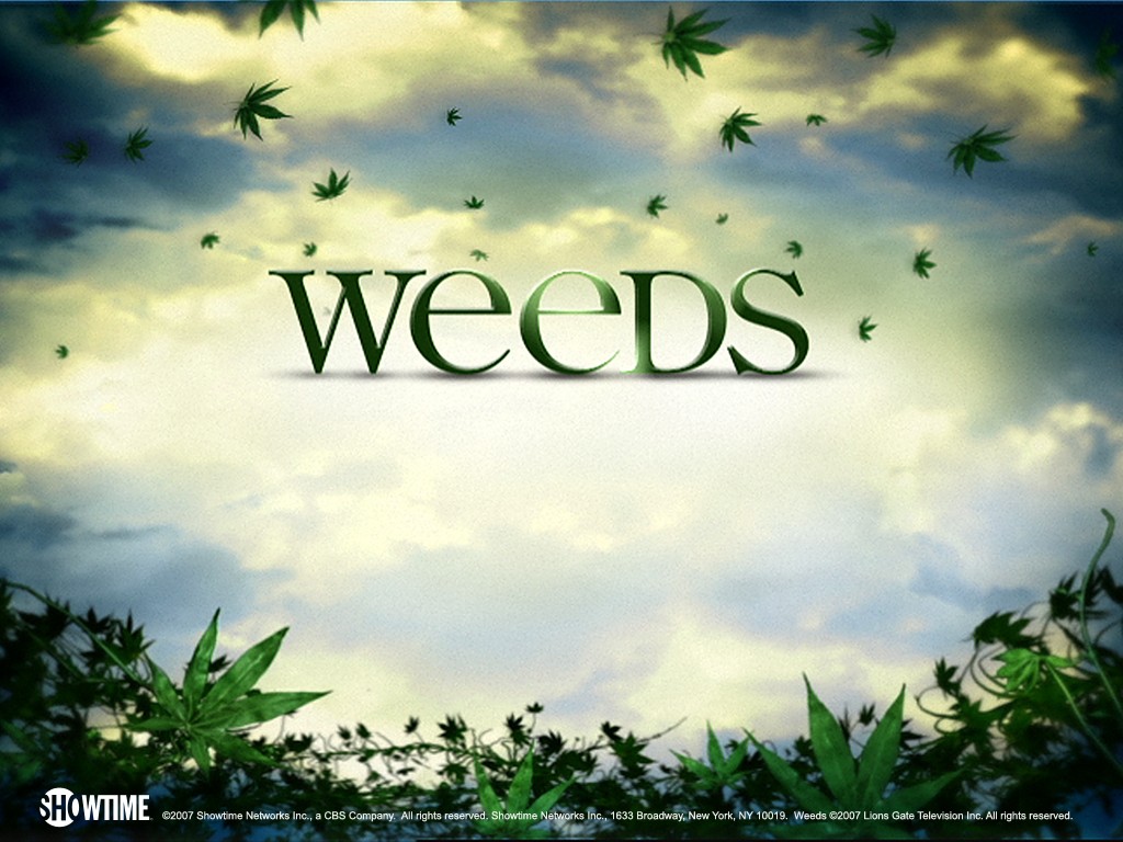 weeds_tv_series_wallpaper_3_1024