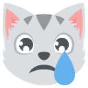 :crying_cat_face: